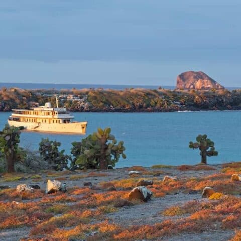 A classic white yacht at anchor in a turquoise Galapagos bay, seen from a shore of cacti and red ground cover